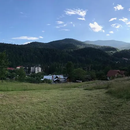 Гостьовий Будинок Камінь Довбуша * Yaremche